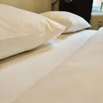 Apartamento Velvet *